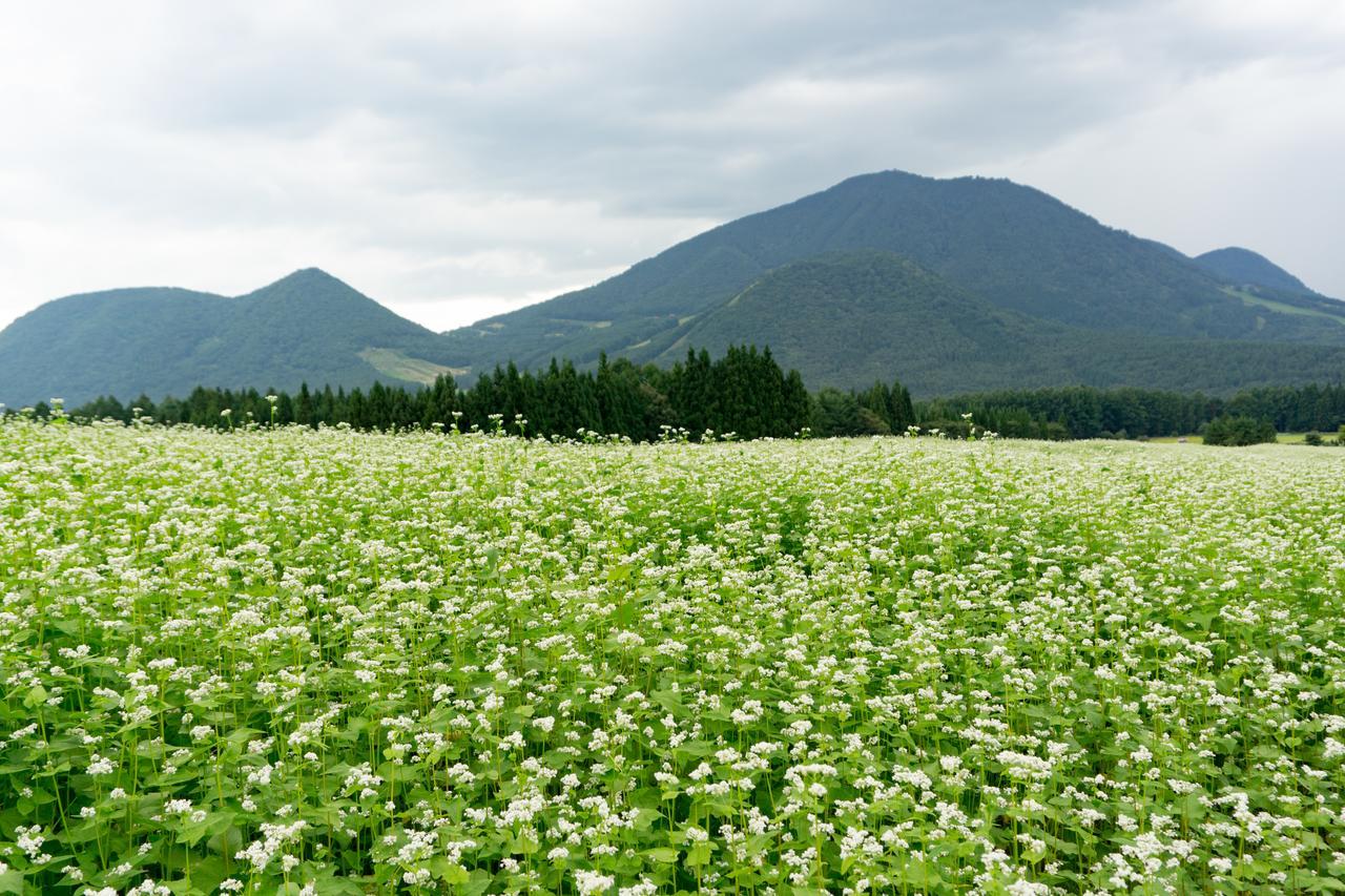 Aibiya Bed & Breakfast Yamanouchi  Luaran gambar